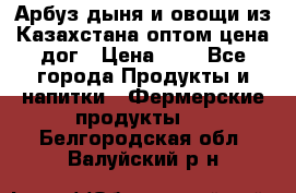 Арбуз,дыня и овощи из Казахстана оптом цена дог › Цена ­ 1 - Все города Продукты и напитки » Фермерские продукты   . Белгородская обл.,Валуйский р-н